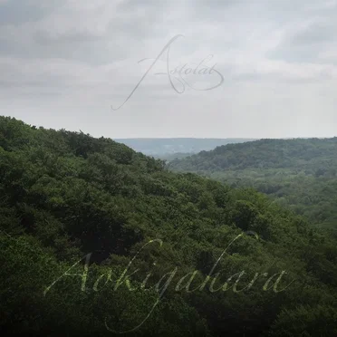 Aokigahara