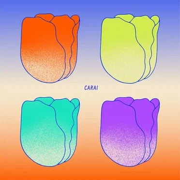CARAI by CHiLi GiRL - album cover