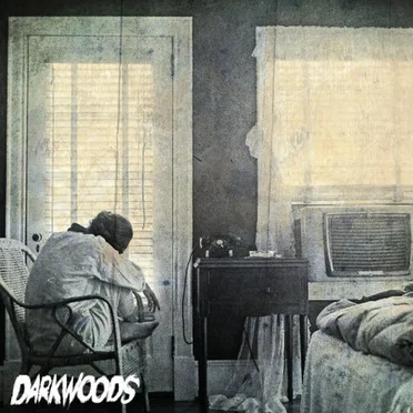 Cabin Fever by Darkwoods - album cover