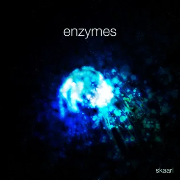 Enzymes by Skaarl - album cover