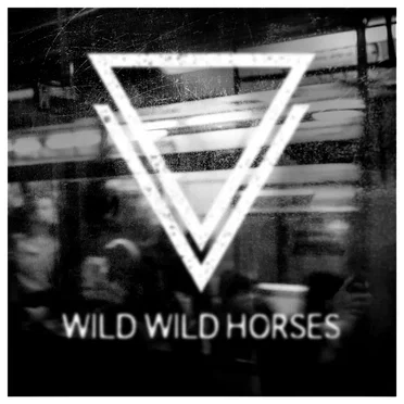 Ordinary Life by Wild Wild Horses - album cover