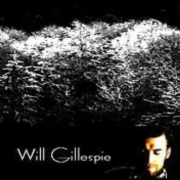 Collected Songs and Found Recordings by Will Gillespie - album cover