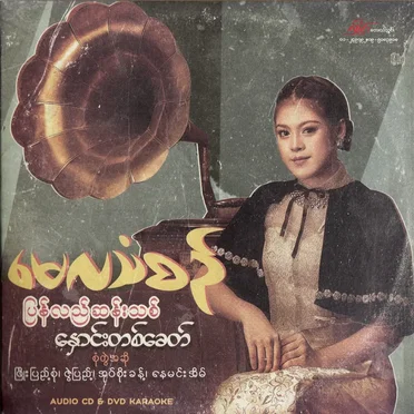 ပြန်လည်ဆန်းသစ် နှောင်းတစ်ခေတ်