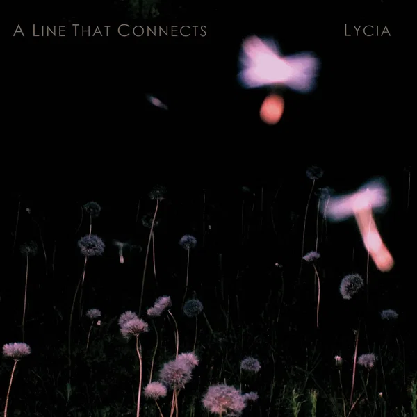 A Line That Connects