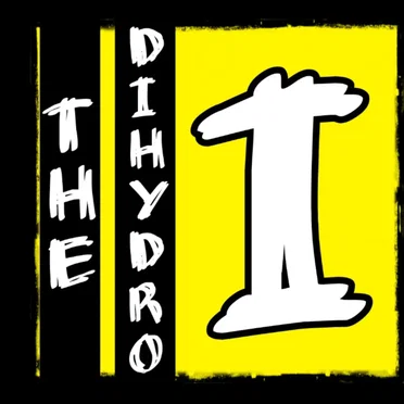 The Dihydro 1 by The Dihydro - album cover