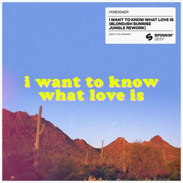 I Want to Know What Love Is (BLOND:ISH Sunrise Jungle rework)