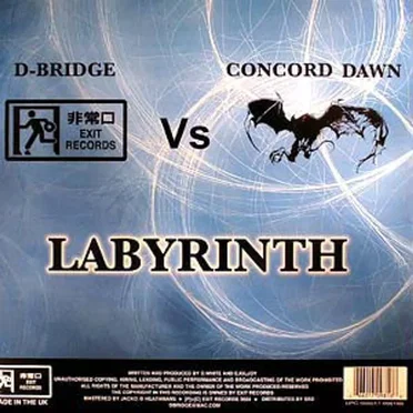 Labyrinth / Daylight