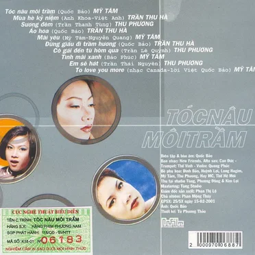 Tóc nâu môi trầm by Various Artists - album cover