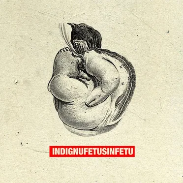 Fetus in Fetu