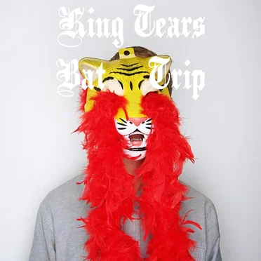 King Tears Bat Trip by King Tears Bat Trip - album cover