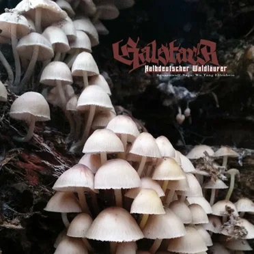 Halbdeutscher Waldläufer by Galstarr - album cover
