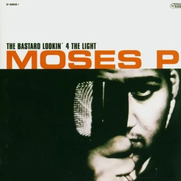 The Bastard Lookin' 4 The Light