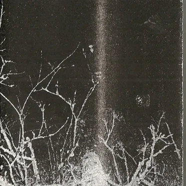 The Song of a Long Forgotten Ghost