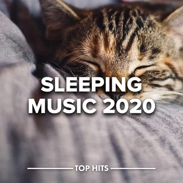 Sleeping Music 2020 by Various Artists - album cover