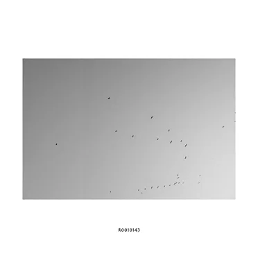 R0010143