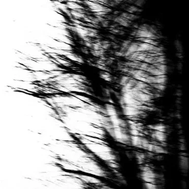 Asthenia