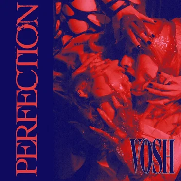 Perfection (Single Mix) by Vosh - album cover