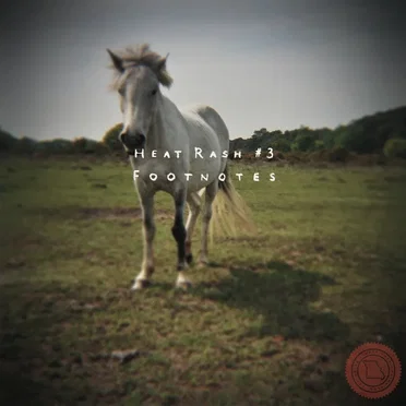 Heat Rash #3: Footnotes by Los Campesinos! - album cover