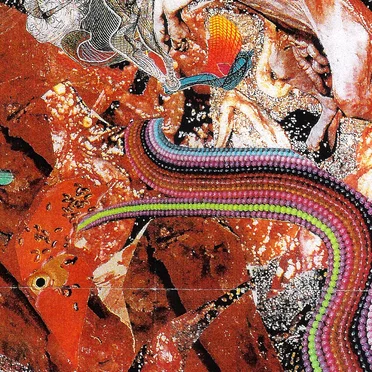 This Is What You Don’t Want