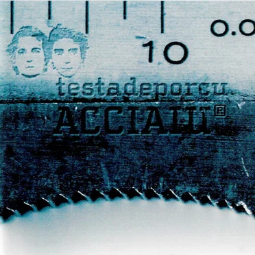 Acciaiu by Testadeporcu - album cover