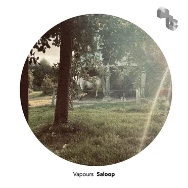 Vapours by Saloop - album cover