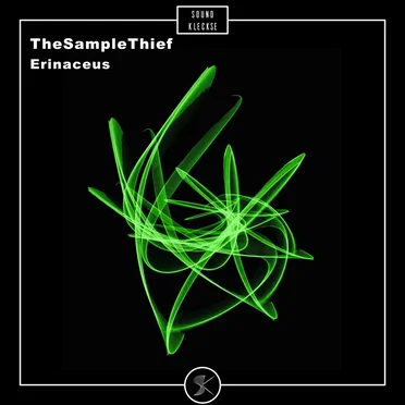 Erinaceus by TheSampleThief - album cover