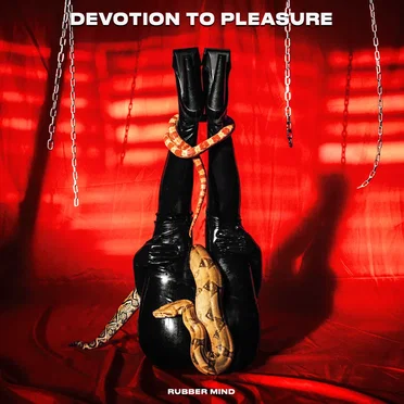 Devotion to Pleasure by Various Artists - album cover