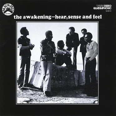 Hear, Sense and Feel