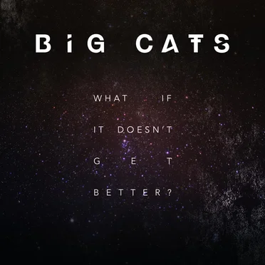 What If It Doesn't Get Better?