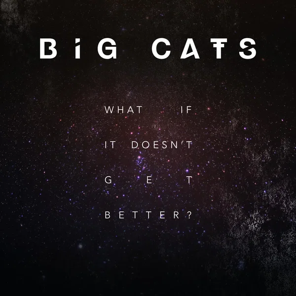 What If It Doesn't Get Better?