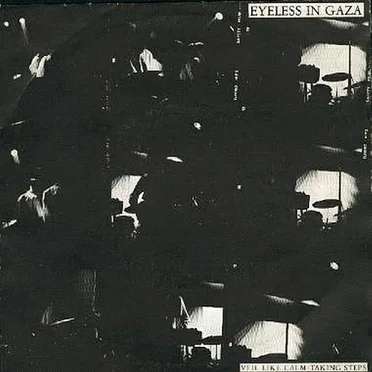 Veil Like Calm / Taking Steps
