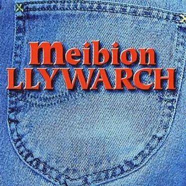 Meibion Llywarch by Meibion Llywarch - album cover