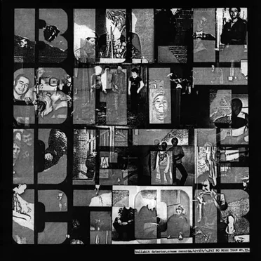 Bullshit Detector by Various Artists - album cover