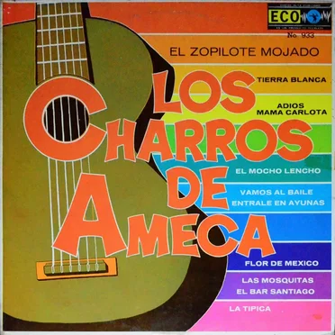 El zopilote mojado