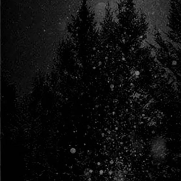 Colds Sounds from Mysterious Forest