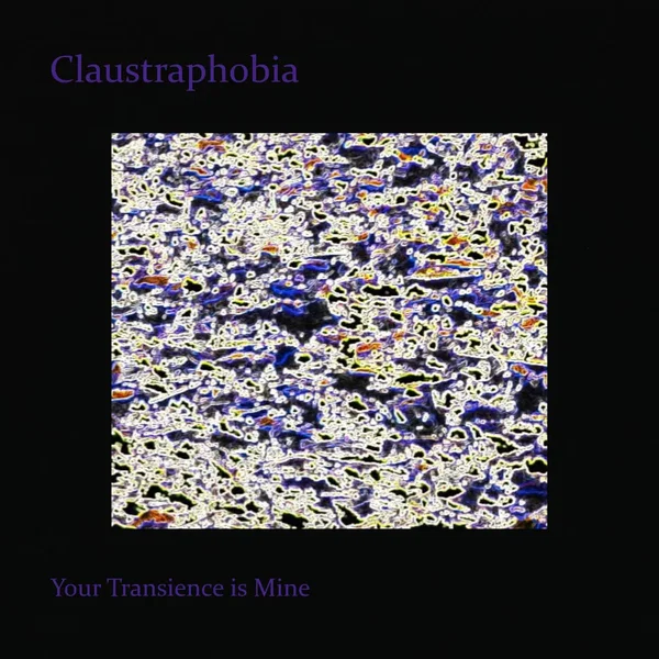 Your Transience Is Mine