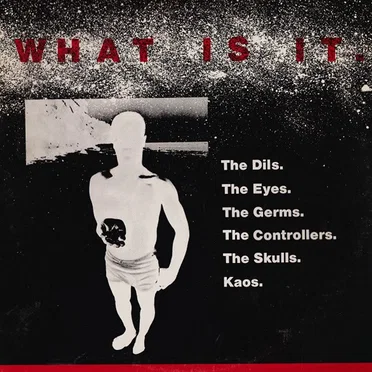 What Is It. by Various Artists - album cover