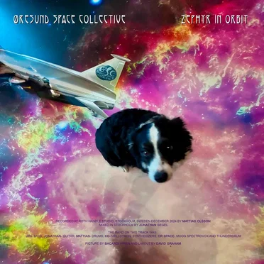 Øresund Space Collective / Psychedelic Source Records by Øresund Space Collective - album cover