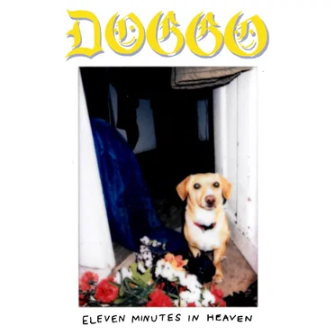 doggo