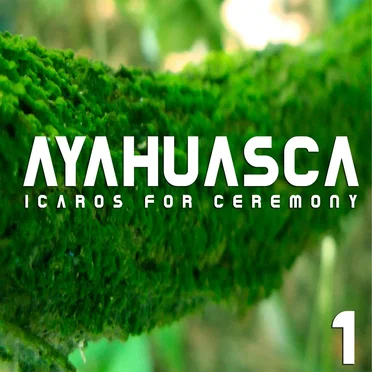 Ayahuasca Icaros for Ceremony 1 by Dony Valles Cotrina - album cover