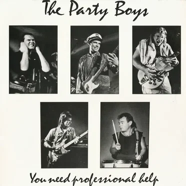 You Need Professional Help by The Party Boys - album cover