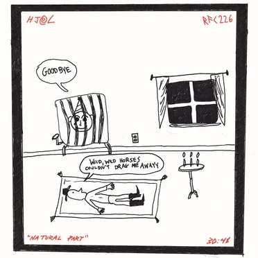 Natural Part by Horse Jumper of Love - album cover