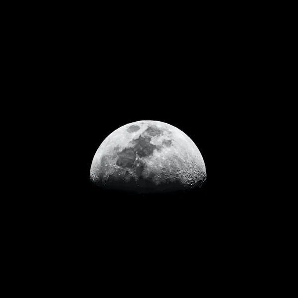 Moon Children