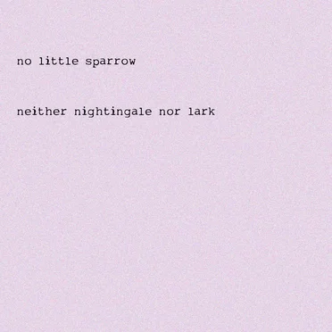 Neither Nightingale nor Lark by No Little Sparrow - album cover