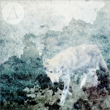 Acres by Acres - album cover