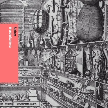 Wunderkamera by Slalom - album cover