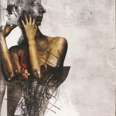 The Anatomy of Melancholy