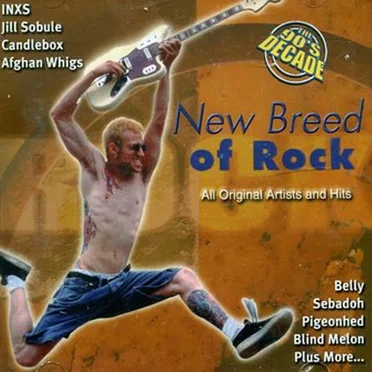 The 90s Decade: New Breed of Rock by Various Artists - album cover