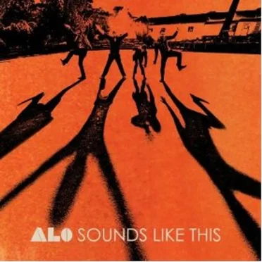 Sounds Like This by Animal Liberation Orchestra - album cover