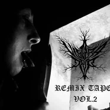 [re]Mix Tape Vol.2 by Viscera Drip - album cover